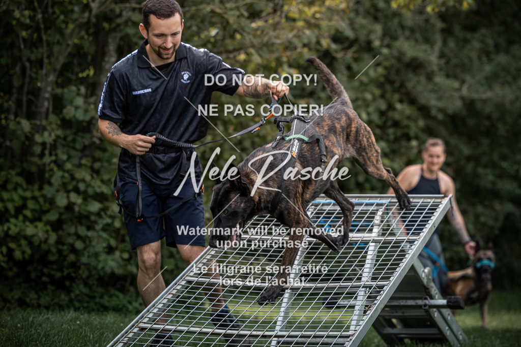 nelerasche_SoLauf_118 | nelerasche