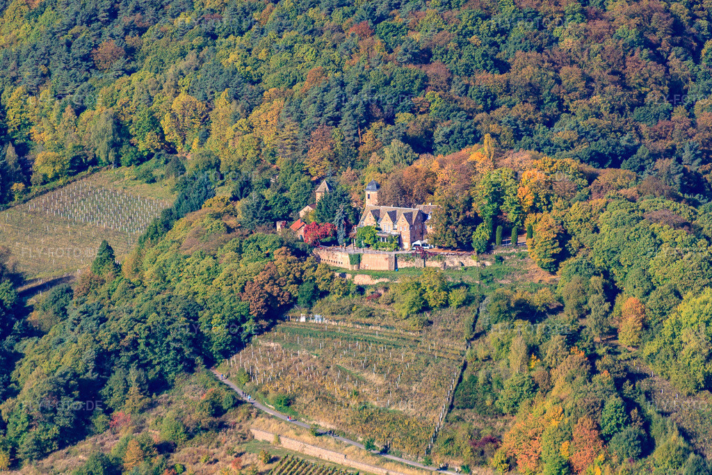 Luftbild: Burgschänke an der Kropsburg im Ortsteil SaintMartin in Sankt Martin im Bundesland Rheinland-Pfalz in Deutschland. Foto: IMG_22140.jpg vom 15.10.2009 durch Werner Riehm/FLY-FOTO.de