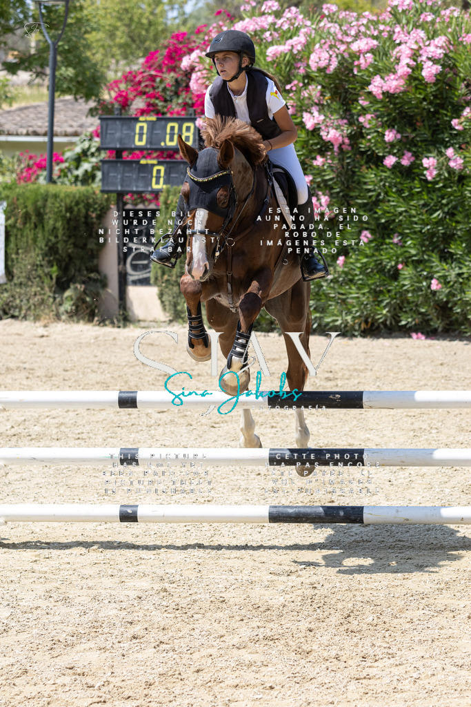 IMG_0598 | s-jay-photography - Realisiert mit Pictrs.com