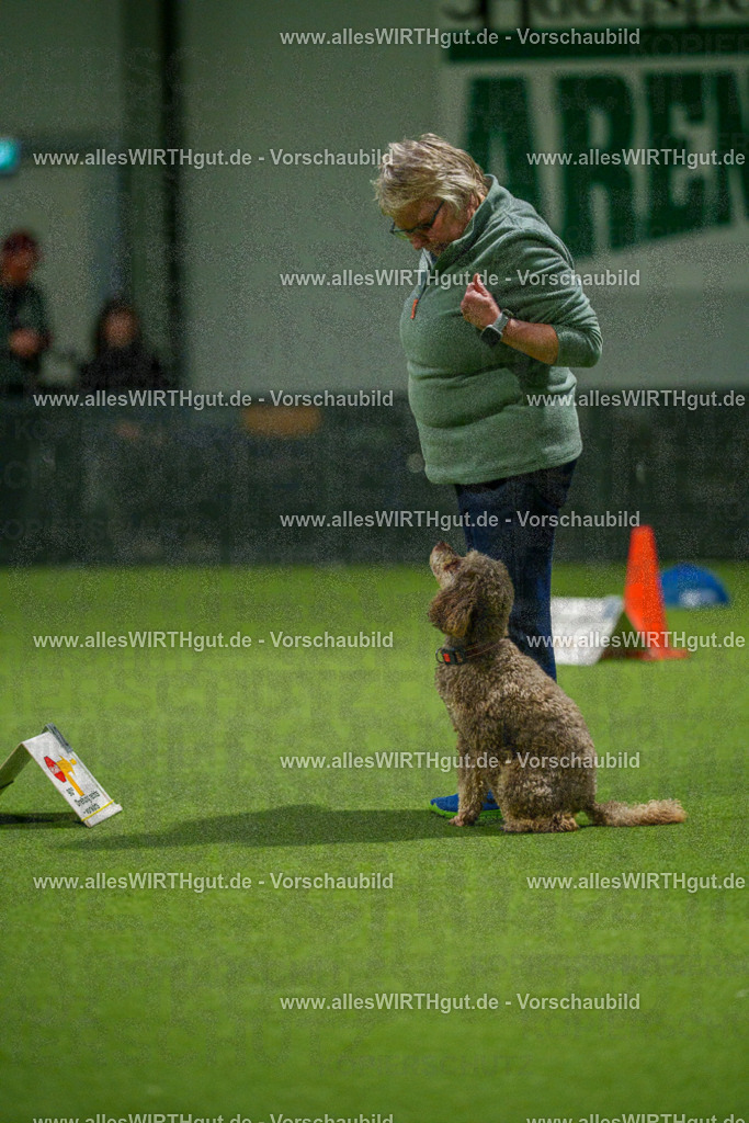 7R509168 | Professionelle Tierfotografie in Mönchengladbach von Daniel Wirth (allesWIRTHgut). Liebevolle & natürliche Bilder von Hunden & Katzen für unvergessliche Erinnerungen.