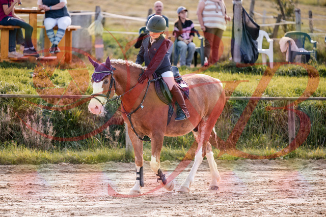 2026_10_03_Siefer-Hof_144530_Z81_21074184 | Professionelle Reitsport-, Turnier- und Eventfotografie von Robert Broda. Galerien mit ausgewählten und bearbeiteten Bildern direkt online ansehen und bestellen.