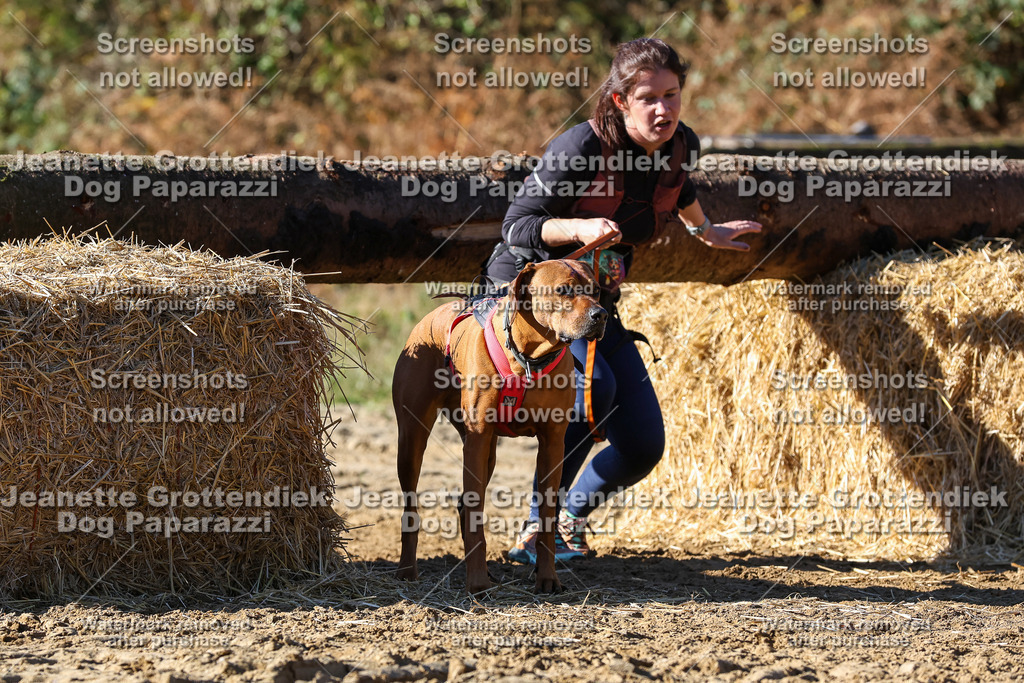 Dog Paparazzi - Strongdog 10-25-2619 | Dog Paparazzi Jeanette Grottendiek Fotografie & Videografie - Realisiert mit Pictrs.com