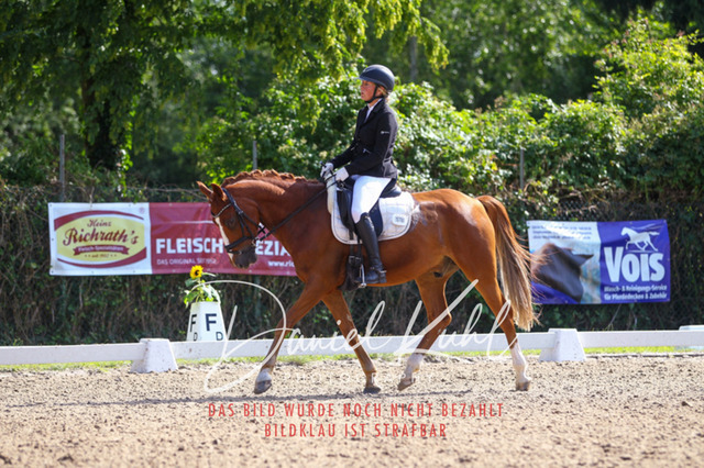 DKP42935 | Turnierfotos kaufen im Webshop von Daniel Kuhl Photography – entdecke professionelle Reitsportfotos aus Turnieren & Events. Hochwertige Turnierbilder online bestellen & sichern. Jetzt Fotos von Reitsportturnieren kaufen!