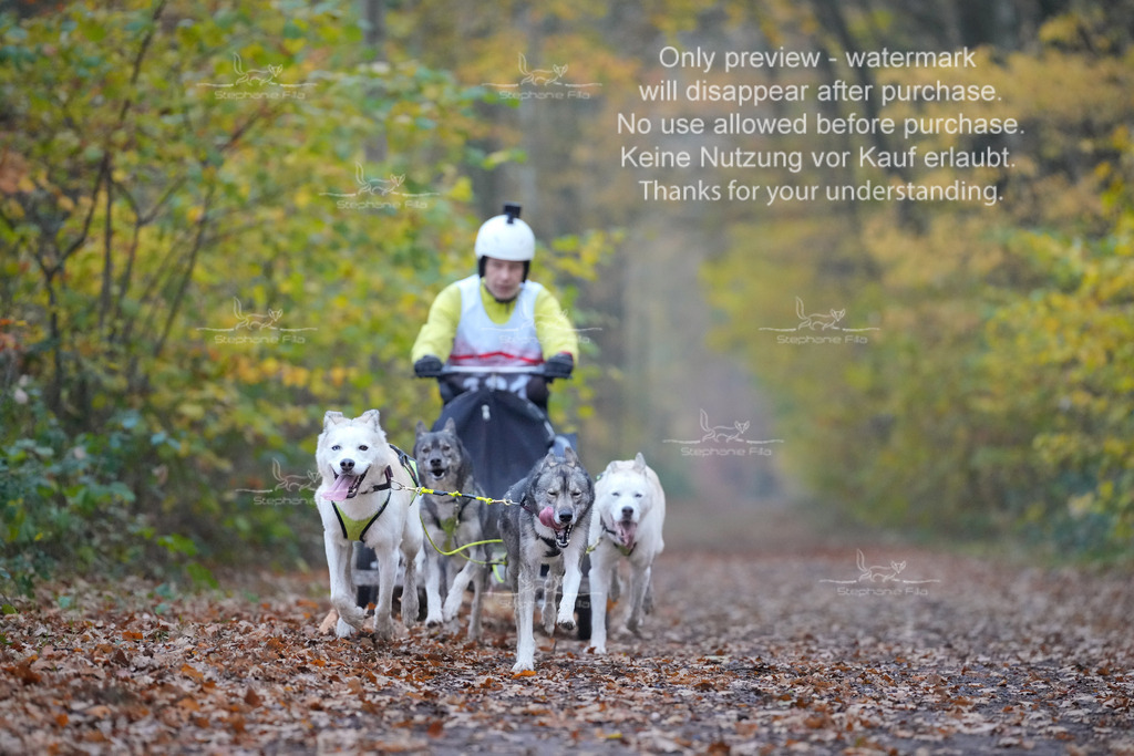 Rigs4bis8So-46 | stephaniefillaphotographie - Realisiert mit Pictrs.com