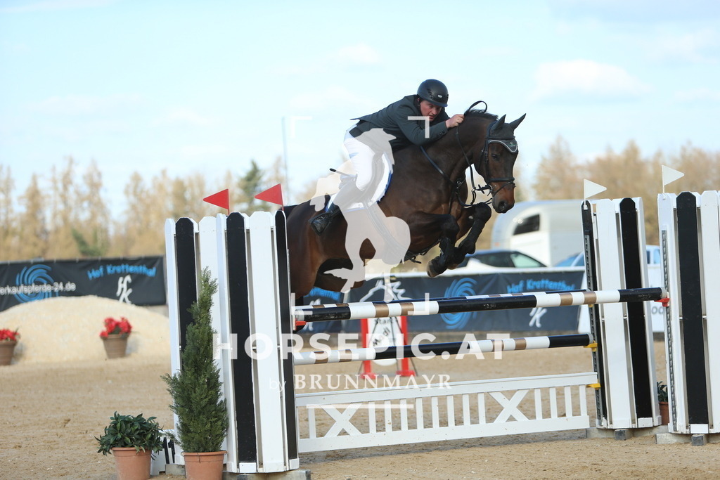 DL2Q1140 | Willkommen bei Brunnmayr - Design & Fotografie – Ihrem Spezialisten für Reitturniere und Pferdeveranstaltungen in Oberösterreich, Salzburg und Bayern! Seit über 17 Jahren sind wir leidenschaftlich dabei.