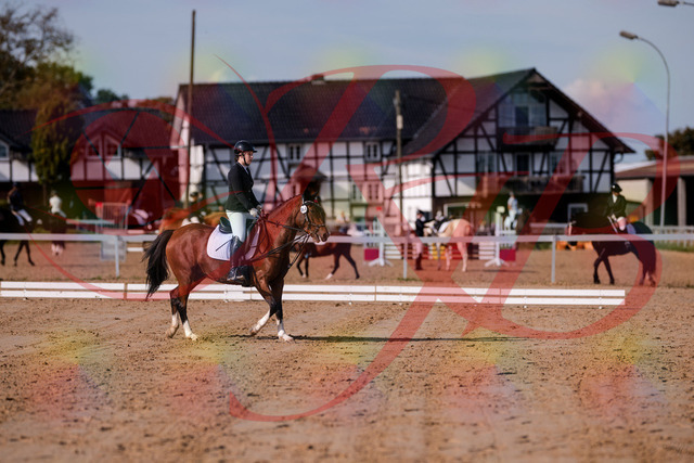 2026_10_03_Siefer-Hof_115418_Z81_93241466 | Professionelle Reitsport-, Turnier- und Eventfotografie von Robert Broda. Galerien mit ausgewählten und bearbeiteten Bildern direkt online ansehen und bestellen.