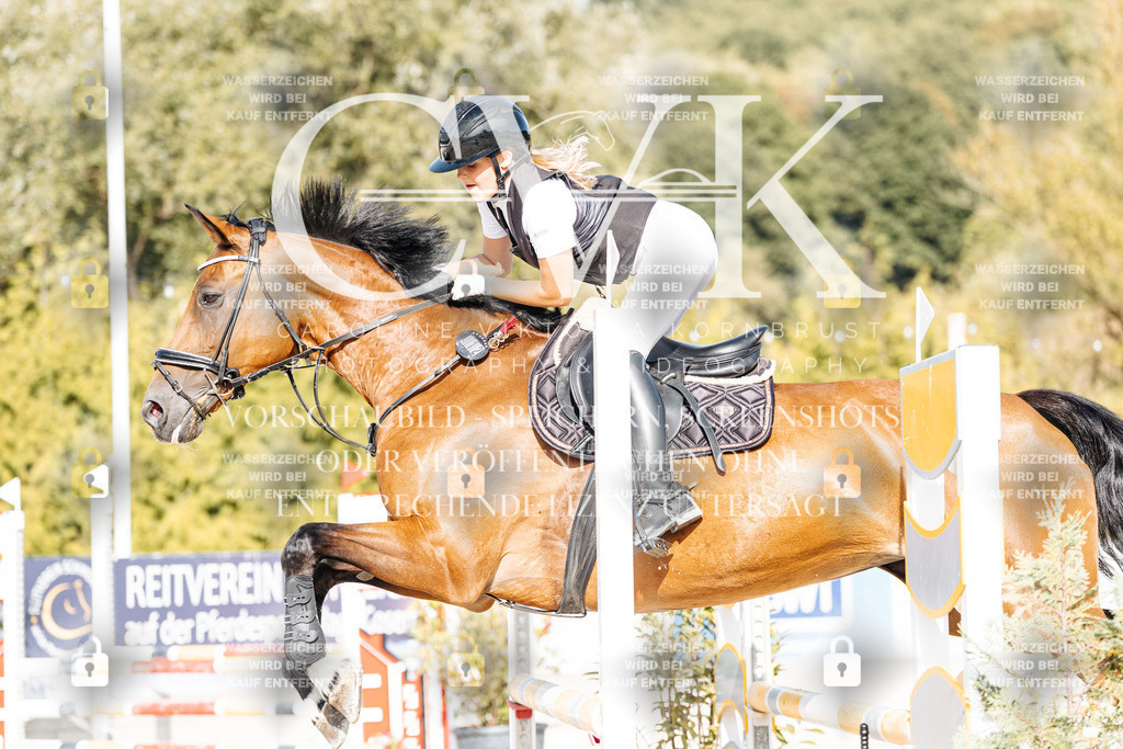 CK909484 | Turnierfotografie Pferdefotografie Trier Rheinland-Pfalz Pferdesport Reitsport Tierfotografie Sportfotografie Pferdevideo Pferdevideografie Equestrianvideography equestrianphotography  - Realisiert mit Pictrs.com