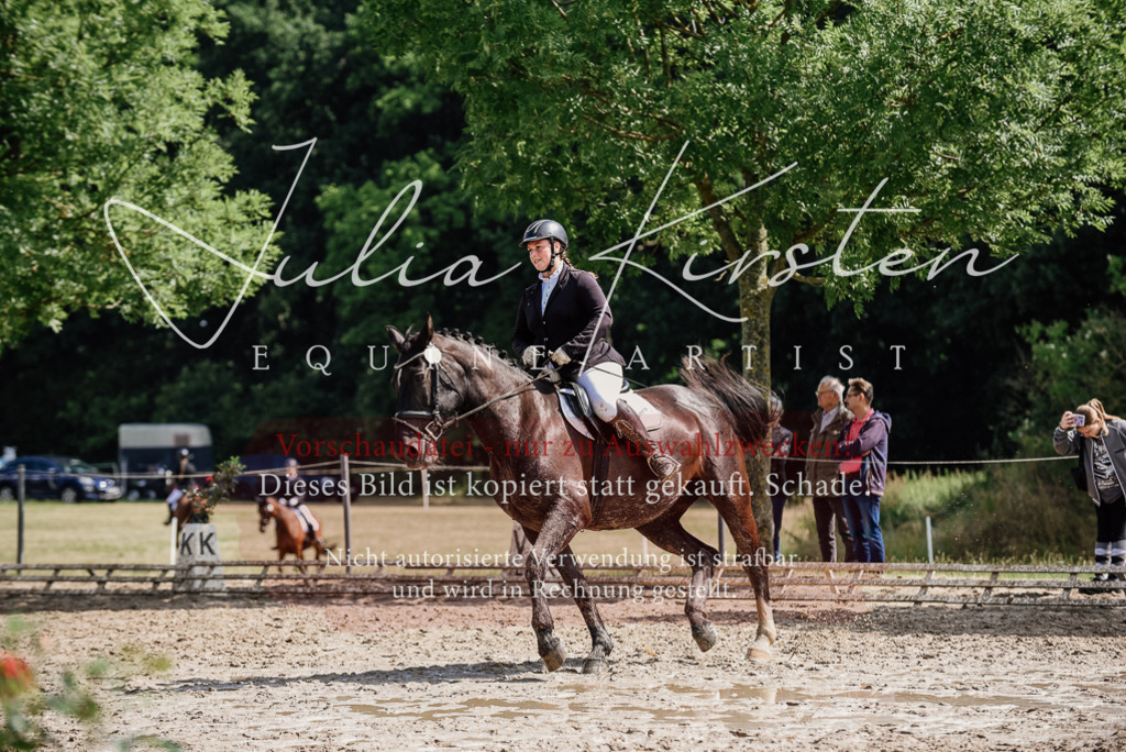 DSC_0228 | Pferde- und Turnierfotografie in Westsachsen. Pferdeportraits, Auftragszeichnungen und intuitive Kunst.