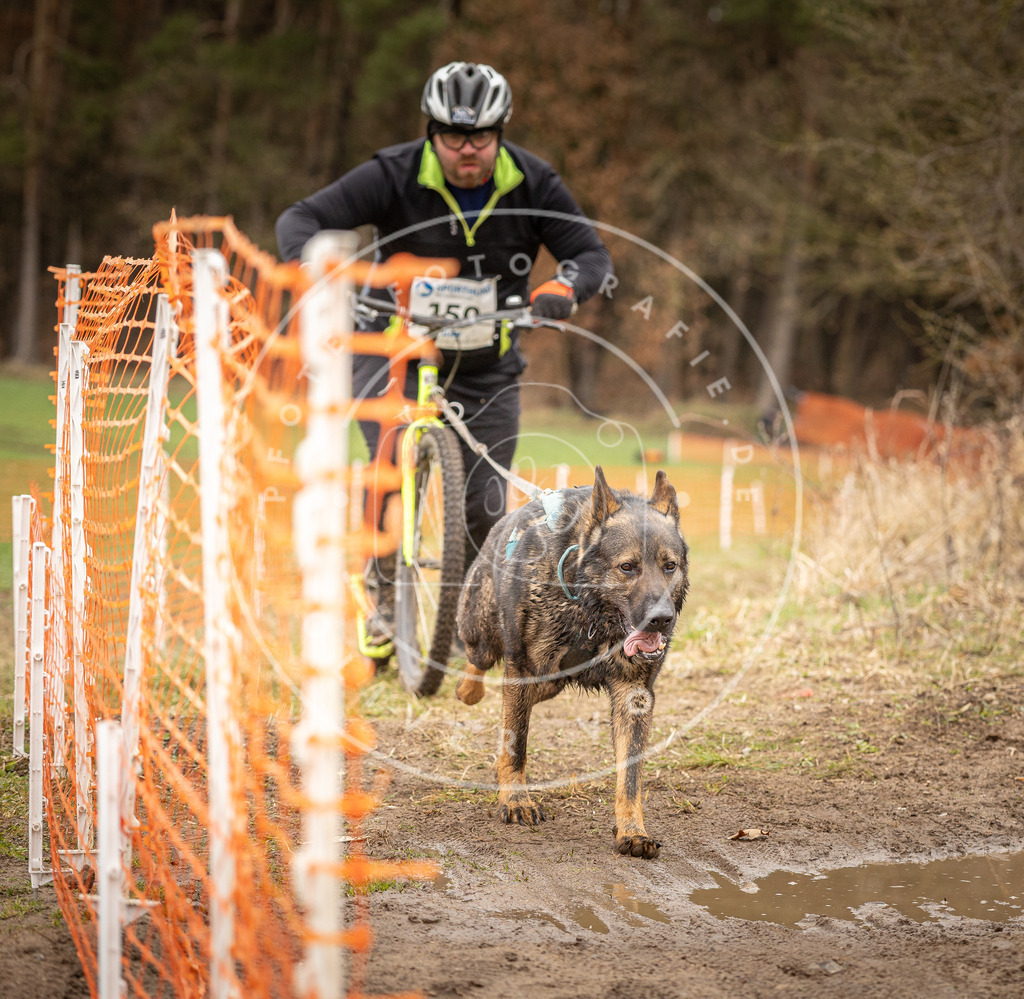 DV3A1623 | Hundefotografie, Tierfotograf, Pfotenfotografie, Fotoshooting Hund, Hunde Portrait, Hundesport, Hundeportraits, Heideshooting, Hunde, Sportfotograf, Hundefotograf, Turnierhundsport, THS,  - Realisiert mit Pictrs.com