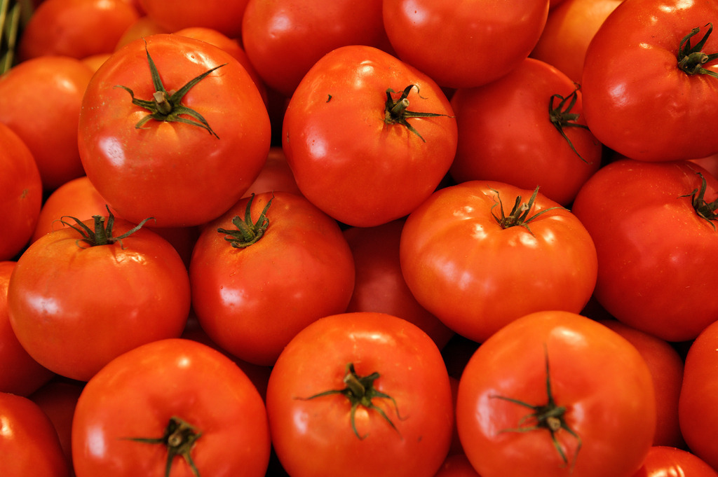 rote Tomaten | Wien, Austria - December 03, 2011: rote Tomaten. - Realisiert mit Pictrs.com