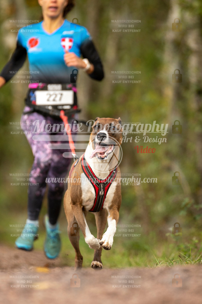 TSB_2023_E4_Canicross-28 | PayLife