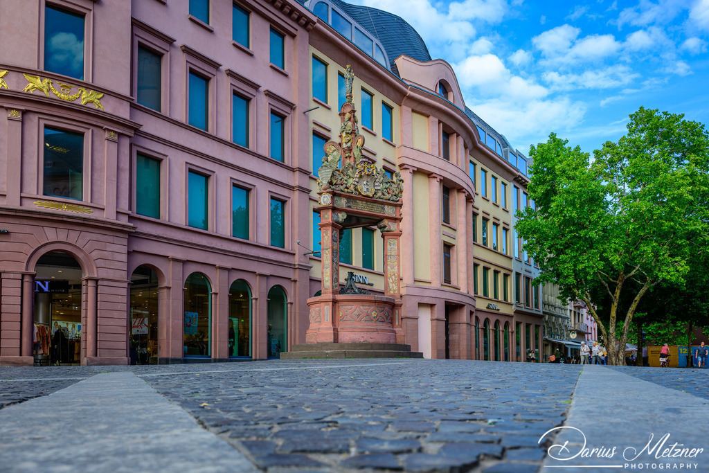 DSC_3938 | Fotografien, Fotos und Bilder aus Mainz, Frankfurt, Wiesbaden und anderen Orten auf der Welt - Fotografiert von Darius Metzner