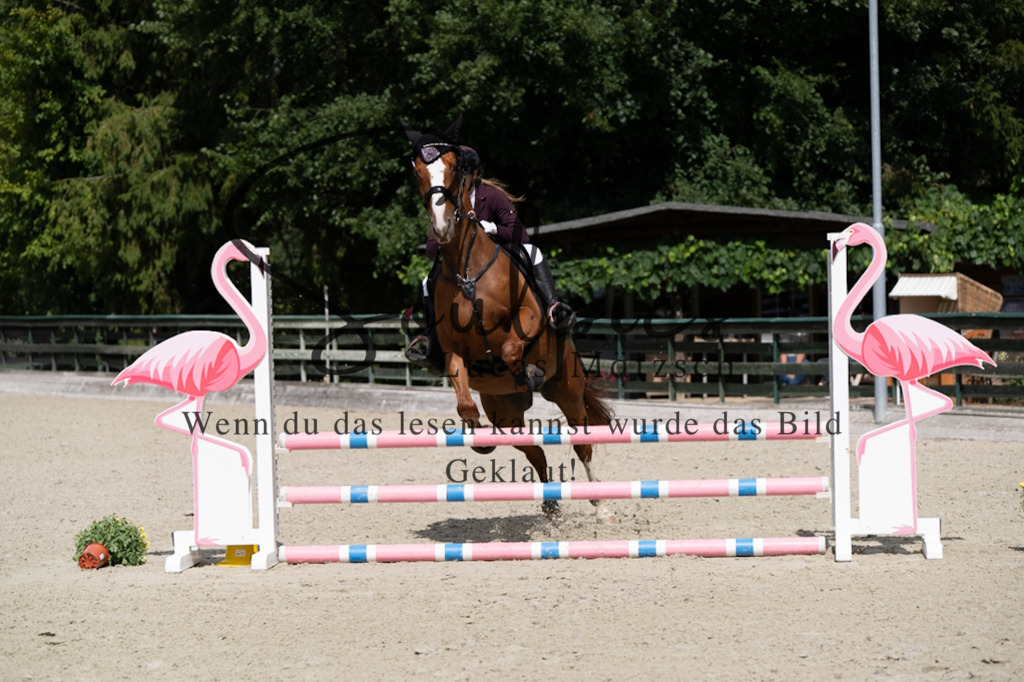 A7V07356 | Turnier/Reitfotograf