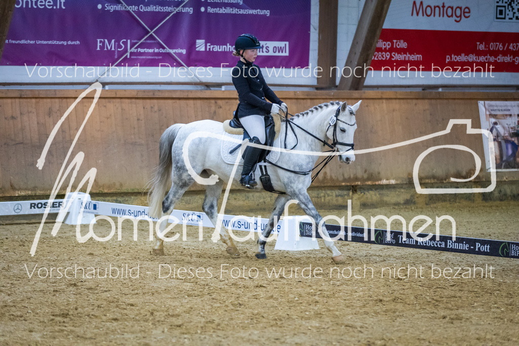 Sth-WBO25-DrR-098 | MomenTaufnahmen Pferdesportfotos