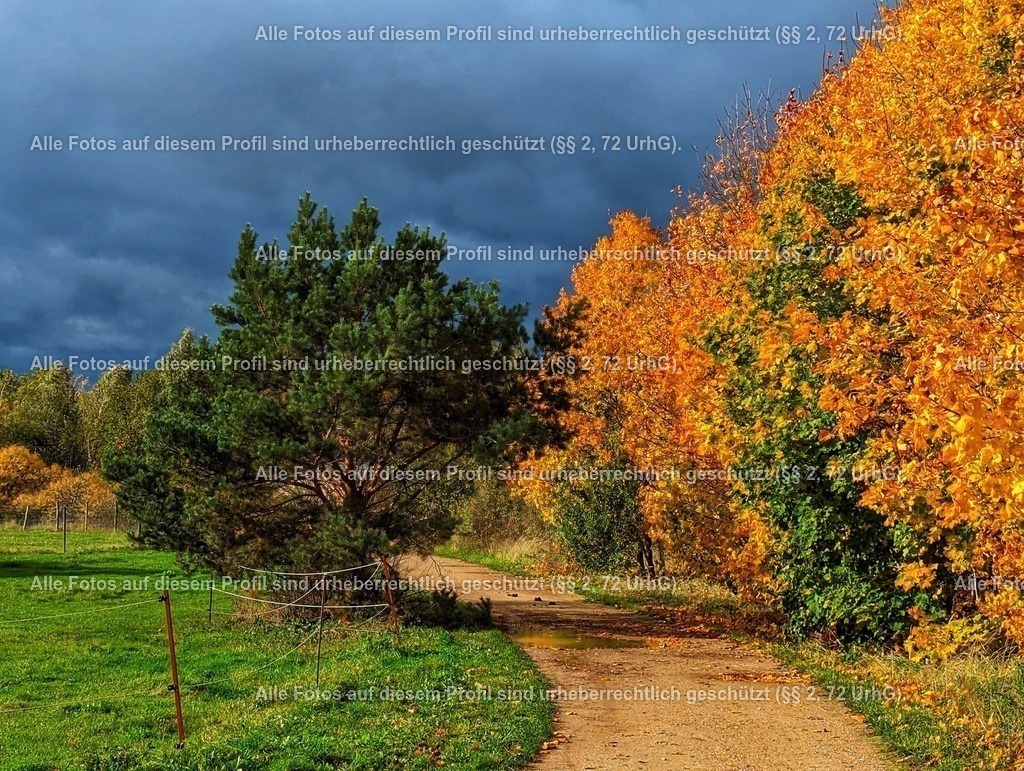 PXL_20231031_114042805-01 | krollfotografie - Realisiert mit Pictrs.com