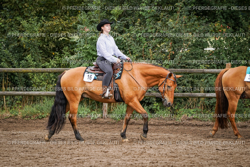 DSC08702 | Pferdegrafie