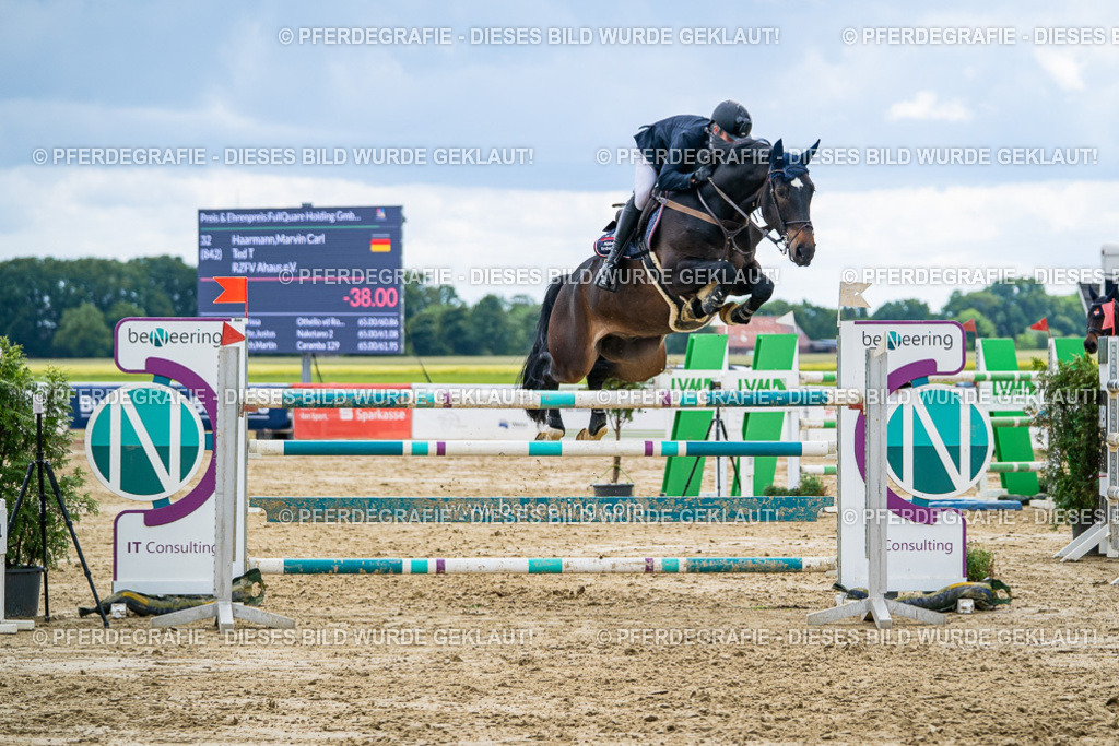 DSC06199 | Pferdegrafie