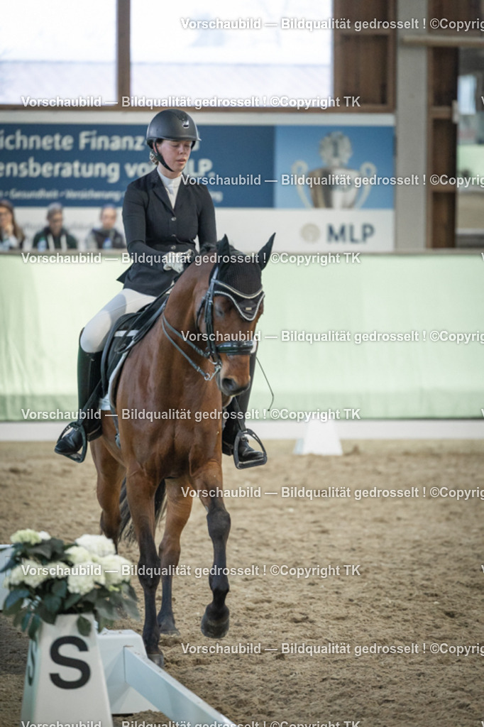 _D5A3572 | Emotionale Pferde- & People-Fotografie rund um Heidelberg, Leimen & Umgebung. Natürliche Fotos von Pferd, Mensch & Familie. Jetzt Termin sichern!