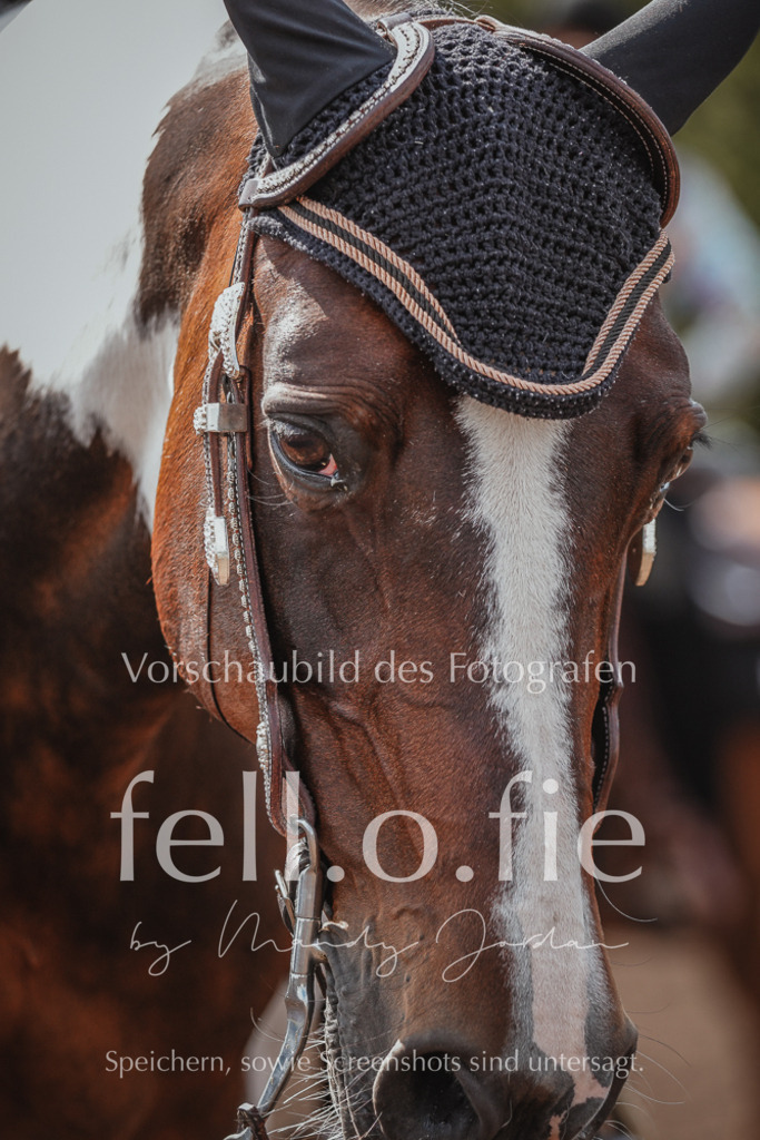 fell.o.fie_mandyjordan_2024_06_02712 | Mandy Klecke Fellfotografie, fell.o.fie Fotografenshop - Realisiert mit Pictrs.com