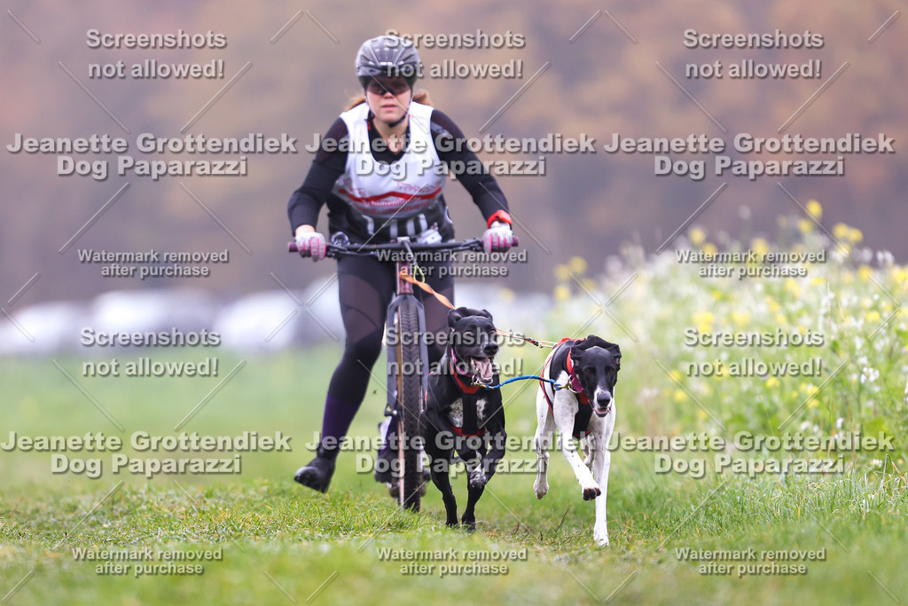 Dog Paparazzi - Visbeck 25 -84 | Dog Paparazzi Jeanette Grottendiek Fotografie & Videografie - Realisiert mit Pictrs.com