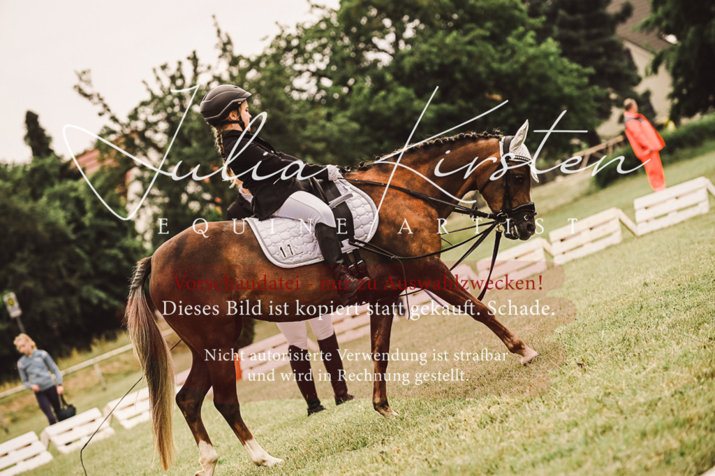 DSC_5219 | Pferde- und Turnierfotografie in Westsachsen. Pferdeportraits, Auftragszeichnungen und intuitive Kunst.