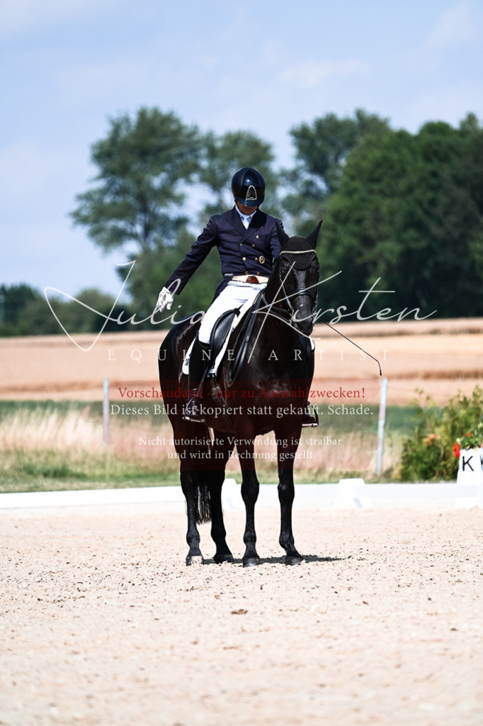 DSC_2983 | Pferde- und Turnierfotografie in Westsachsen. Pferdeportraits, Auftragszeichnungen und intuitive Kunst.