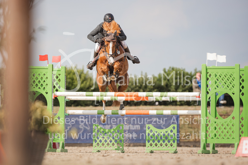 220610_PfSpTa_M1-Spr-303 | Lützower Pferdesporttage 
Springprüfung Kl. M*
10.06.2022