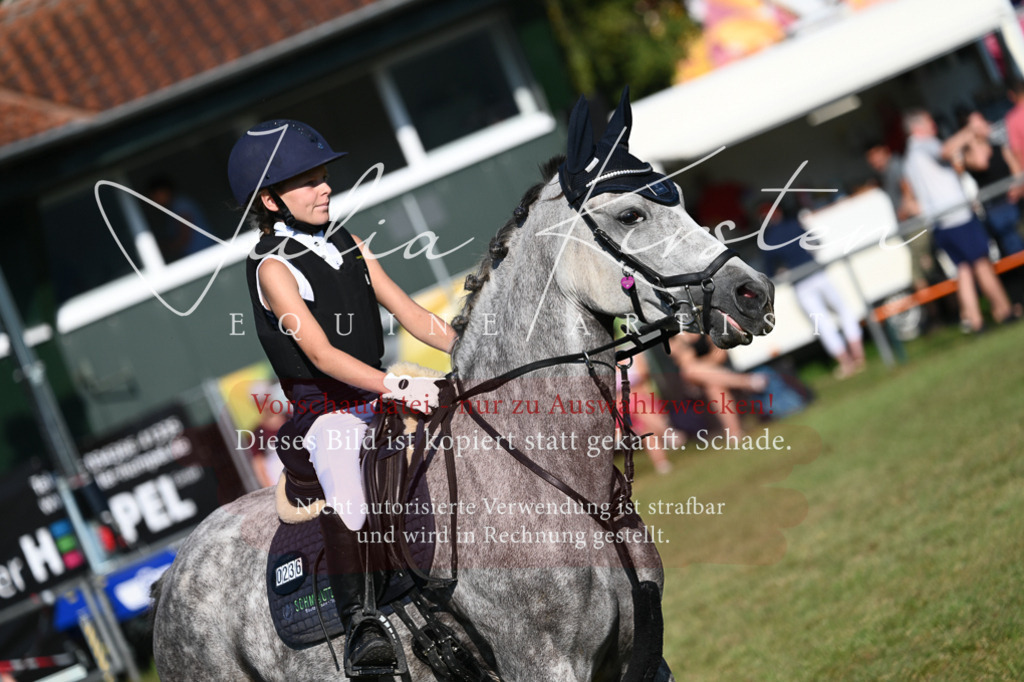 DSC_5051 | Pferde- und Turnierfotografie in Westsachsen. Pferdeportraits, Auftragszeichnungen und intuitive Kunst.