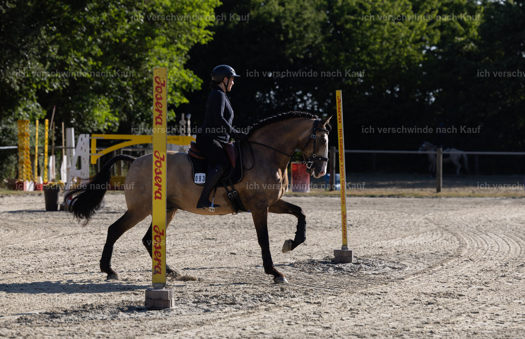 WA_Trail_96_KerstinBernhardt-22 | working equitationturnier fotograf videograf stoibphotography marixx film working equitation deutschland reitsport turnierfotografie eventfotografie equestrian events