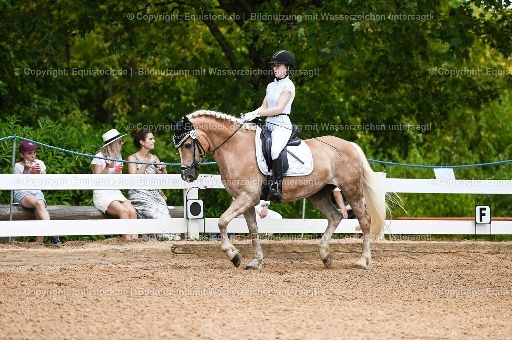 20230715_05_Dressurprüfung Kl.A++_0098 | equistock
