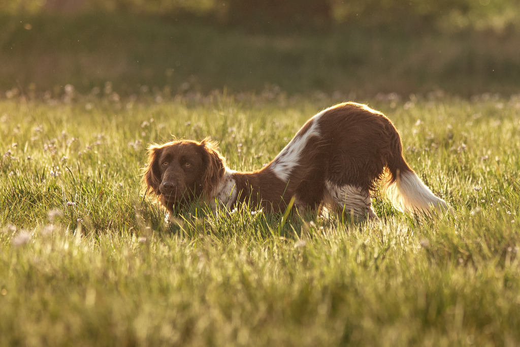 Nika | photography by friederike - Realisiert mit Pictrs.com