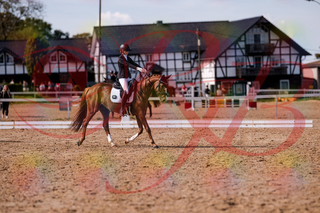 2026_10_03_Siefer-Hof_133152_Z81_86990840 | Professionelle Reitsport-, Turnier- und Eventfotografie von Robert Broda. Galerien mit ausgewählten und bearbeiteten Bildern direkt online ansehen und bestellen.