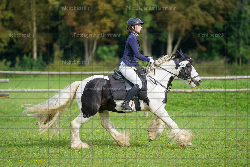 20230917-FAH09165 | Landsberg am Lech, 2023, Kaufbeuren, Kempten, Allgäu, Turnierfotografen Bayern, Fotoagentur Herrmann, Turnierbilder, Reitsport Fotos, Pferdefotograf, Augsburg, Bad Tölz, Dachau, Karlsfeld, Memmingen, Buchloe, Schwabmünchen
