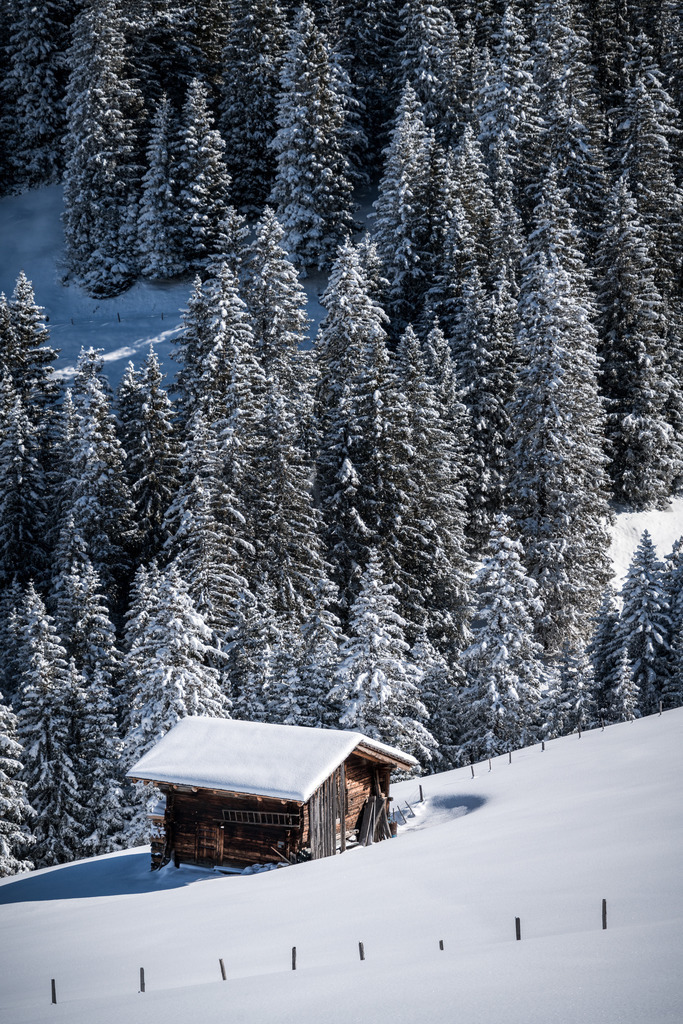 DSC03450 | Tinu Müller Fotografie- Bildershop - Realisiert mit Pictrs.com