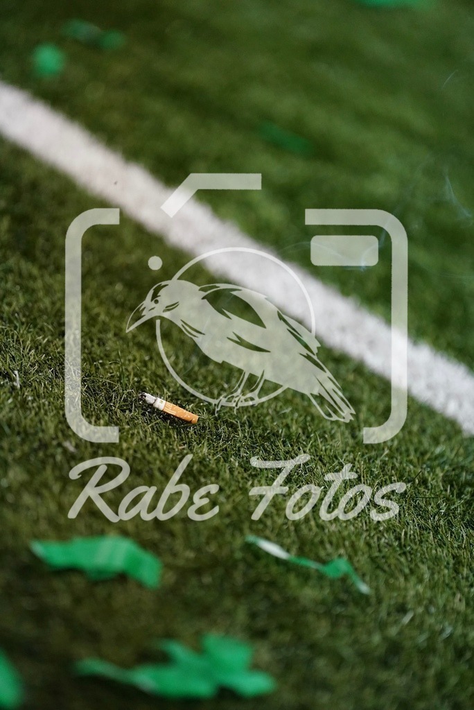 SON02716 | rabefotos