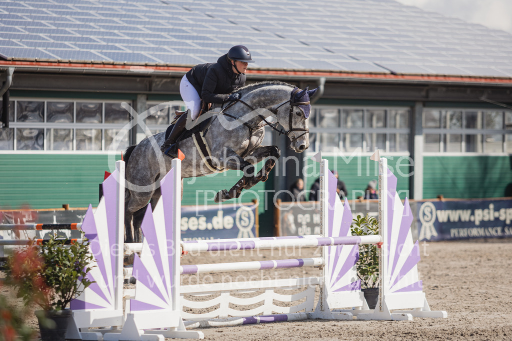 230411_Mühlen_02SprPf-A-238 | Deine schönsten Turniermomente als professionelle Fotos! Entdecke hochwertige Pferdesport-Fotografie im Online-Shop. Jetzt Fotos finden & bestellen!