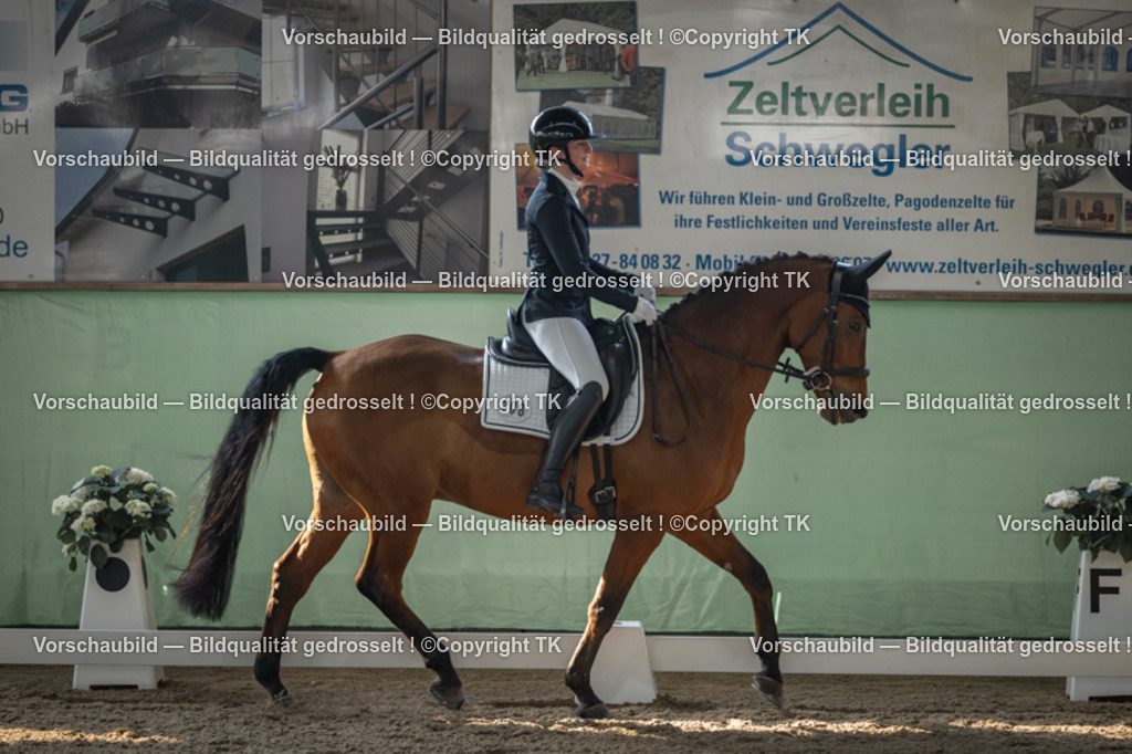 _D5A8275 | Emotionale Pferde- & People-Fotografie rund um Heidelberg, Leimen & Umgebung. Natürliche Fotos von Pferd, Mensch & Familie. Jetzt Termin sichern!