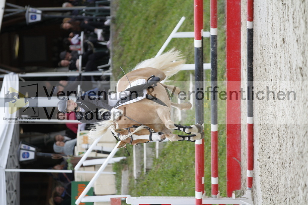 _MG_4790 | equestrian-live-com