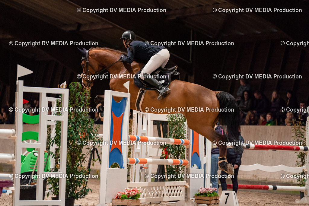 Springen Tag 2-733 | dv-media-shop - Realisiert mit Pictrs.com