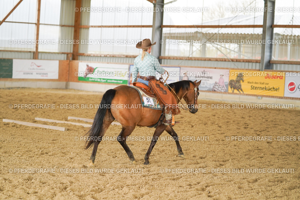 DSC04017 | Pferdegrafie