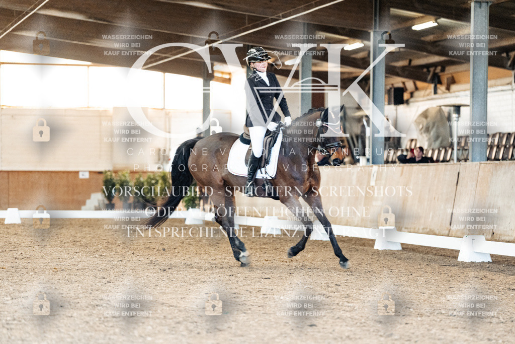CK908353 | Turnierfotografie Pferdefotografie Trier Rheinland-Pfalz Pferdesport Reitsport Tierfotografie Sportfotografie Pferdevideo Pferdevideografie Equestrianvideography equestrianphotography  - Realisiert mit Pictrs.com
