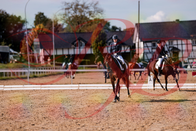 2026_10_03_Siefer-Hof_125841_Z81_48877028 | Professionelle Reitsport-, Turnier- und Eventfotografie von Robert Broda. Galerien mit ausgewählten und bearbeiteten Bildern direkt online ansehen und bestellen.