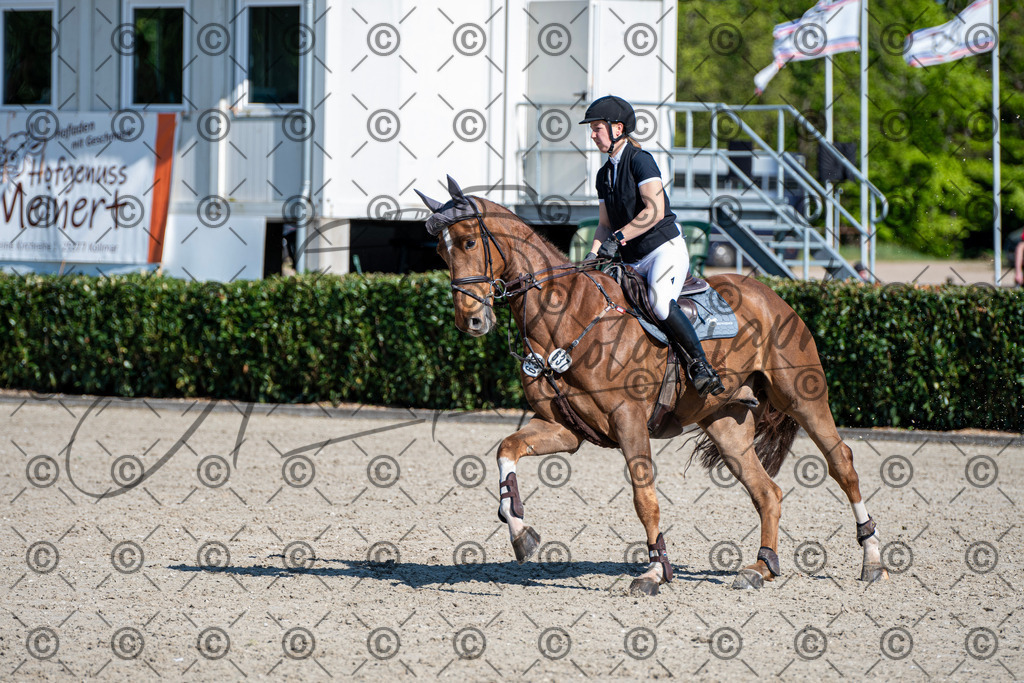 KPT_1665 | andre_photographic