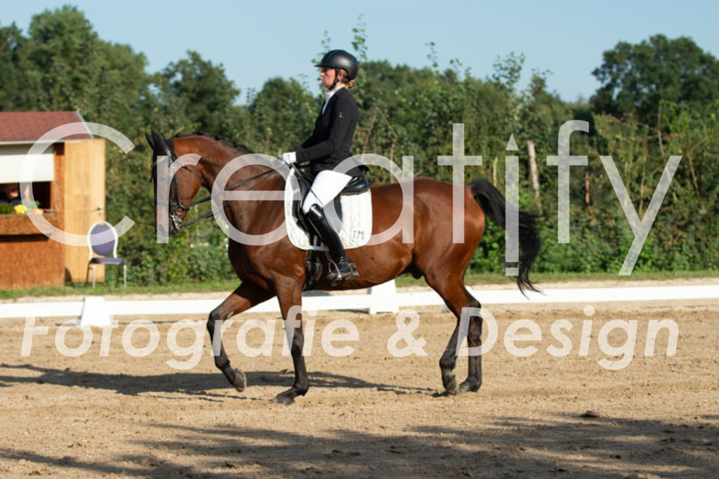 IMG_0965 | Creatify Fotografie