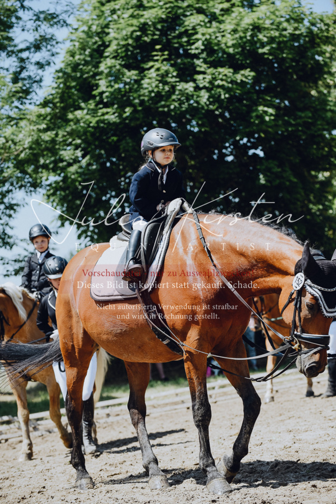 DSC_2503 | Pferde- und Turnierfotografie in Westsachsen. Pferdeportraits, Auftragszeichnungen und intuitive Kunst.