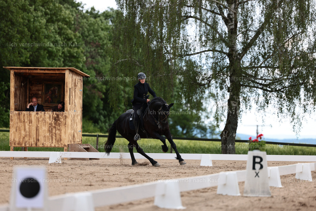 KlasseM_Stoibphotography_C2_L6183.JPG | working equitationturnier fotograf videograf stoibphotography marixx film working equitation deutschland reitsport turnierfotografie eventfotografie equestrian events