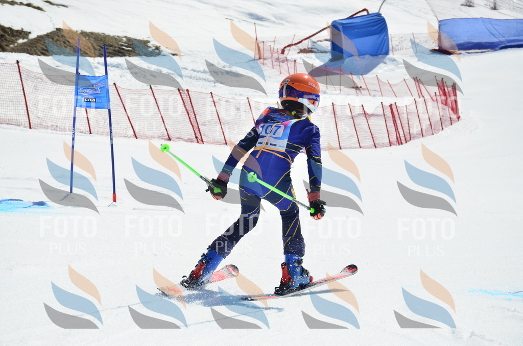 _ELE0619 | holidayphoto