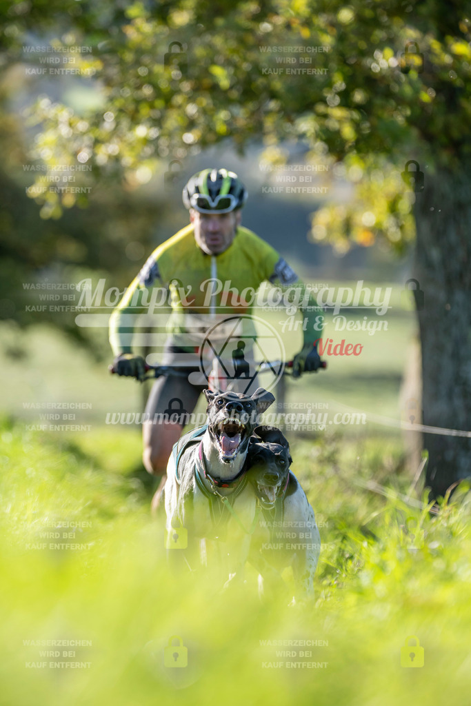 MompixPhotography_20TSB_E3_DS2-2 | PayLife