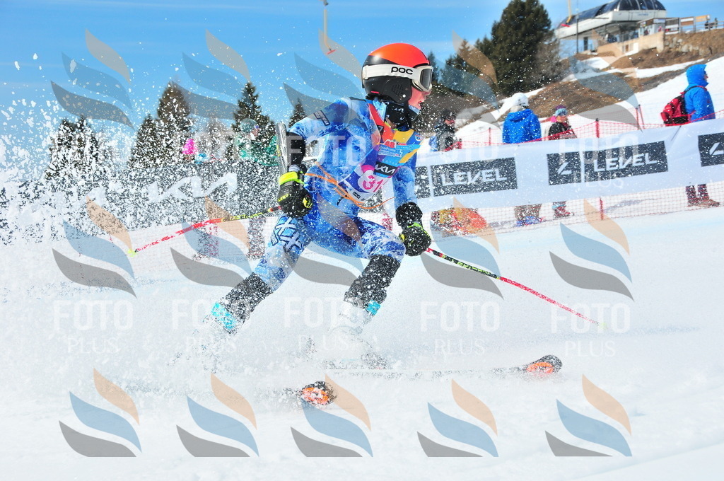 DSC_6674 | holidayphoto