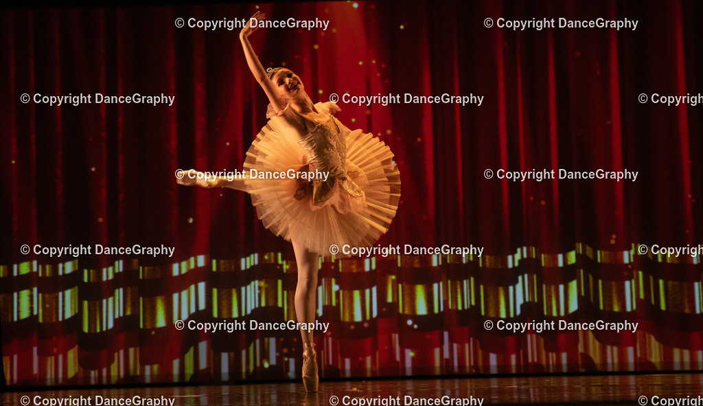 GPHY6902 | DanceGraphy - Realisiert mit Pictrs.com